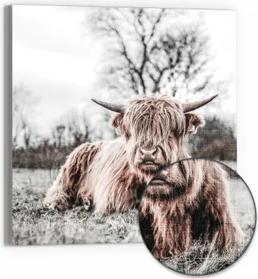 Produktbild von DEQORI Hybrid Leinwand Bild 30x30 cm 'Ruhendes Hochland' Wandbild Glas flach modern