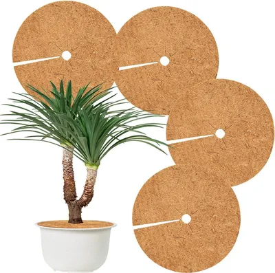 Produktbild von 4 Stück Kokos Mulchscheibe,Ø45cm Winterschutz Kokos,Kokosscheibe,Winterschutz für Kübelpflanzen,Kokos Pflanzenschutz,Kübelabdeckung Frostschutz,Frostschutz Kälteschutz für Pflanzen