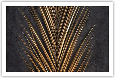 Produktbild von Poster - Poster ohne Rahmen - Blatt golden schwarz - 91,5x61 cm - Wand Bild - Wanddeko - Wandbilder - Kunstposter - Wandposter - Bilder - Kunstdruck - Wanddekoration - Wandbild - P2XAA91x61-5091