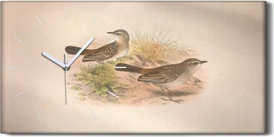 Produktbild von Wohnzimmer-Bild Leinwand Uhr Geräuschlos 60x30 Vögel Wild Tiere Zeichnung Kunst - weiße Hände