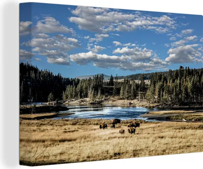 Produktbild von OneMillionCanvasses® - Leinwandbilder - 140x90 cm, Landschaft - Baum - Bison, Wandbilder Kunstdruck Wanddekoration