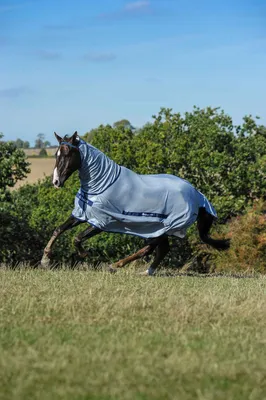 Produktbild von Bucas Fliegendecke Buzz-Off Full Neck Decke Blue 120