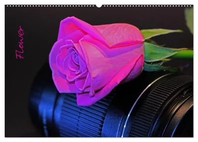 Produktbild von Flower (Wandkalender 2027 DIN A2 quer), CALVENDO Monatskalender