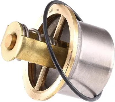 Produktbild von WAHLER Thermostat, Kühlmittel für