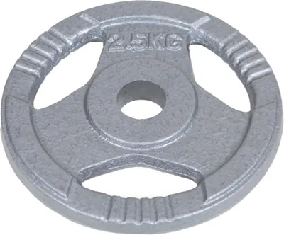 Produktbild von Hantelscheibe Guss 50 mm 2.5 kg