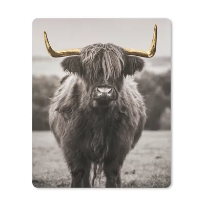 Produktbild von MuchoWow® Mauspad Mousepad Schottischer Highlander - Horn - Gold 19x23 cm - Mousepads - Maus Mat - Pad - Mausunterlage - Mauspads - Spielen