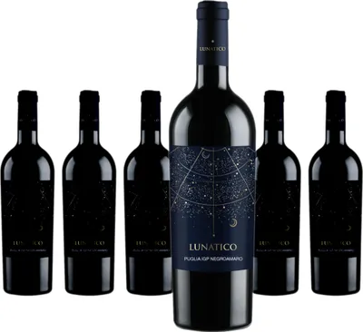Produktbild von 6 x Fantini Lunatico Puglia IGP Negroamaro
