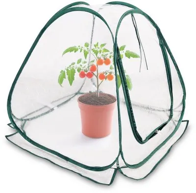 Zdjęcie produktu dla Mini szklarnie do roślin - 60 x 60 cm - przezroczysty PVC - łatwe w użyciu