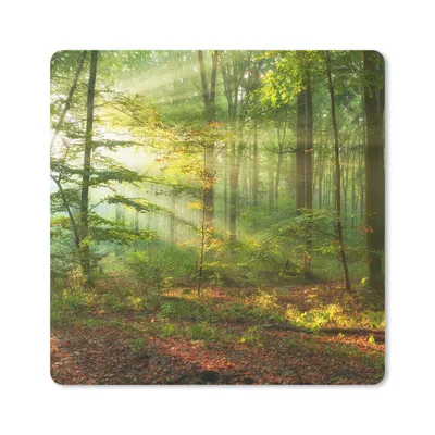 Produktbild von MuchoWow® Mauspad Mousepad Sonne - Wald - Bäume - Natur - Herbst 20x20 cm - Mousepads - Maus Mat - Pad - Mausunterlage - Desk Mat - Bureauartikeln