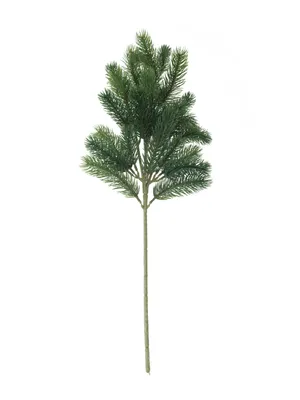 Produktbild von EUROPALMS Tannenzweig, PE, 65cm