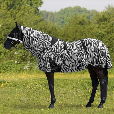 Produktbild von Waldhausen Ekzemdecke Zebra Pferdedecke 125 cm