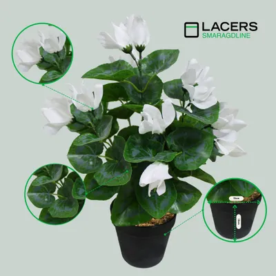 Produktbild von Lacers SMARAGDLINE künstliches Alpenveilchen 2er Set weiß- 45cm - Kunstpflanze im Topf - wie echt wirkende Blätter & Blüten für Ihr Zuhause oder Büro