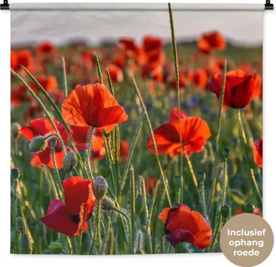 Produktbild von MuchoWow® Wandteppich Wandbehang Blumen - Mohnblumen - Natur - Rot 90x90 cm Tapisserie Dekoration Wandtuch - Wandaufhänger