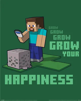 Image de PM 514 - Minecraft - Cultivez votre bonheur - Mini-affiche 40 x 50 cm