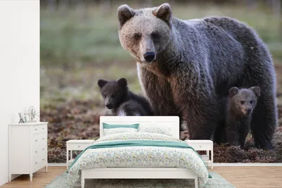 Produktbild von MuchoWow® Fototapete für Wohnzimmer oder Schlafzimmer Wandtapete Vinyl Motivtapete Bärenmutter mit Jungtieren - 600x400 cm - Vinyltapeten