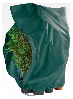 Produktbild von XXL Pflanzen Frostschutzvlies 240 x 200 cm Winterschutz Frostschutz Farbe: GRÜN