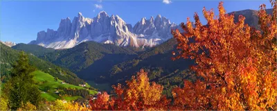 Produktbild von Wallario Poster - Herbst im Gebirgstal unter blauem Himmel, Kunstdruck Größe: 80 x 200 cm