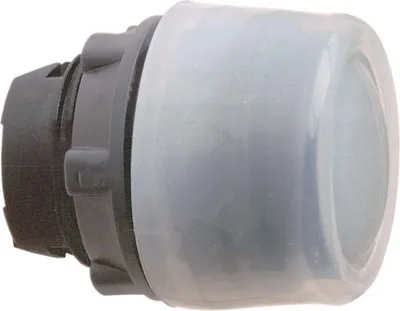 Image de Bouton-poussoir Schneider Electric ZB5AP2