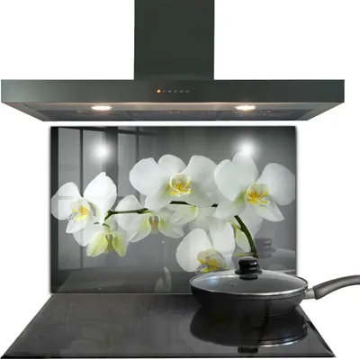 Produktbild von Spritzschutz aus Glas Küchenrückwand - Wandschutz für Herd und Spüle - 80x60 cm - Weiße Orchidee auf schwarzem Hintergrund