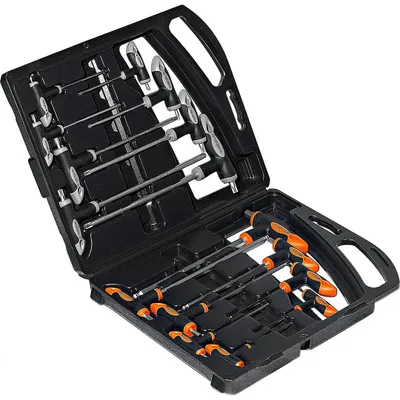Image de BGS TECHNIC Jeu de clés à poignée en T 90, 6 pans creux et profilé en T, 16 pcs.