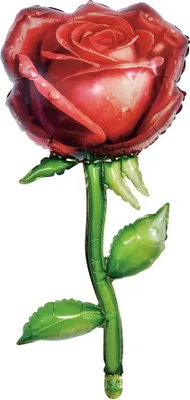 Zdjęcie produktu dla Balon foliowy Róża, 37x76 cm