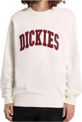 Immagine prodotto di Felpa Dickies DK0A4XABC481 da Uomo