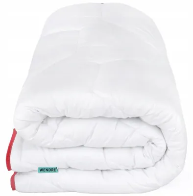 Produktbild von Wendre Winterdecke 220x200cm Antiallergisch 400g/m2