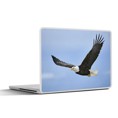 Produktbild von MuchoWow® Laptop Aufkleber Sticker Cover Vogel - Seeadler - Amerika 32.5x23.5 cm - Sticker für Laptop - Selbstklebend