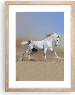 Produktbild von Gerahmtes Poster - Rahmen in heller Eiche - Pferd weiß Tier - 30x40 cm - Wand Bild - Wanddeko - Wandbilder - Kunstposter - Wandposter - Bilderrahmen - Bilder - Kunstdruck - Wandbild - P2NPA30x40-0167