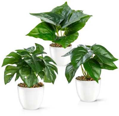 Image de Lot de 3 plantes artificielles réalistes (18 cm) dans des pots en céramique ultra-brillants | Plantes artificielles en pot | Fleurs artificielles, plantes artificielles