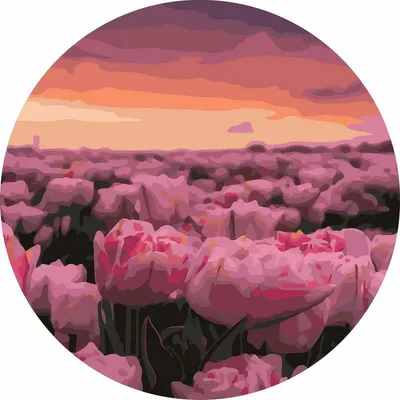 Immagine prodotto di Dipingere con i numeri: campo ovale di tulipani rosa, 40 cm