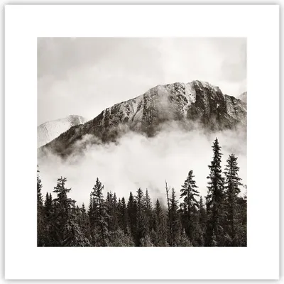 Produktbild von Poster - Poster ohne Rahmen - Nebel Berg Wald - 30x30 cm - Wand Bild - Wanddeko - Wandbilder - Kunstposter - Wandposter - Bilder - Kunstdruck - Wanddekoration - Wandbild - P2XAC30x30-4936