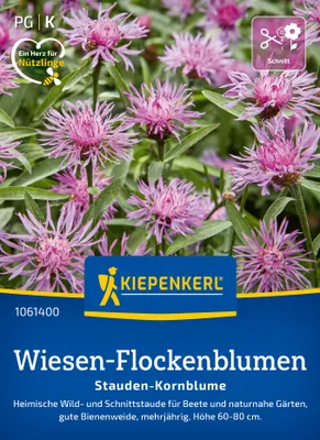 Artikelbild 2 von 'Wiesen-Flockenblumen Stauden-Kornblume' aus der Kategorie Blumensamen