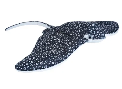 A plush toy stingray is shown against a white background.