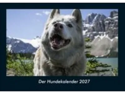 Obrázek produktu pro Kalendář pro rok 2027 s fotografiemi psů, formát DIN A4