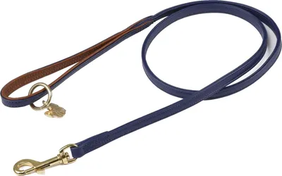 Immagine prodotto di Digby & Fox - Guinzaglio per cani, in pelle, imbottito ER2093 (110 cm x 1,2 cm) (blu navy)