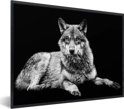 Produktbild von MuchoWow® Gerahmtes Poster Wildlife - Wolf - Schwarz - Weiß 40x30 cm - Poster mit Schwarzem Bilderrahmen Wandposter Rahmen Foto Bilder - Kunstposter - Wanddekorationen