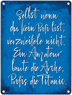 Produktbild von Metallschild mit Spruch: Selbst wenn du ein Profi bist, ... Blechschild Schild