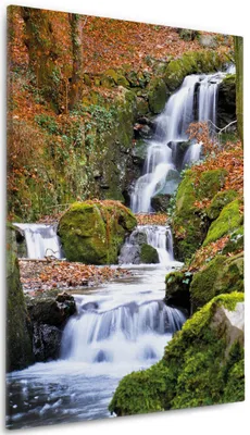 Produktbild von Wallario Premium Leinwandbild Bach im Wald in Größe 60 x 90 cm