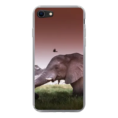 Produktbild von MuchoWow® Handyhülle Schutzhülle Hülle für iPhone SE 2020 Elefant - Gras - Sonne - Tiere Silikon Softcase Handy Hülle - Kartenbesitzer