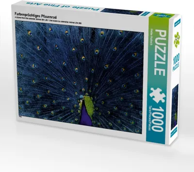 Produktbild von Calvendo Farbenprächtiges Pfauenrad 1000 Teile Puzzle quer 640x480mm, Hultsch Heike; 7288034