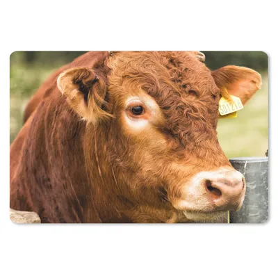 Produktbild von MuchoWow® Schreibtischunterlage Schottischer Highlander - Berg - Zaun 60x40 cm - XXL Mauspad - Großes Mauspad