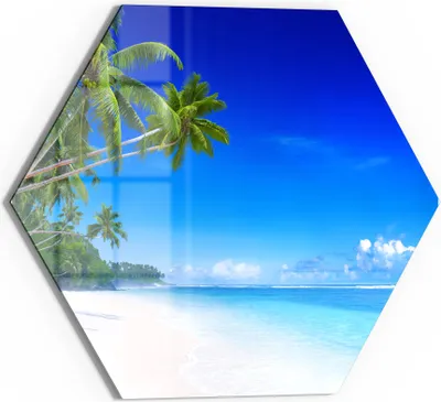 Produktbild von DEQORI Glasbild Echtglas 40x35 cm 'Palmen am Sandstrand' Wandbild Bild modern Deko
