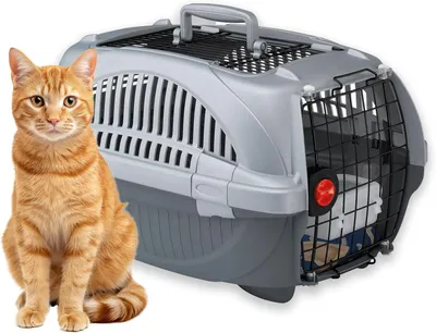 Obrázok produktu pre Prepravka pre domáce zvieratá – Taška pre mačky a psov – Bezpečné cestovanie – Otvor na streche pre prístup – 60 x 40 x 38 cm – Šedá