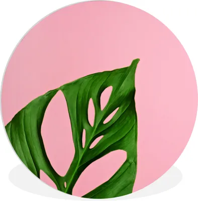 Produktbild von MuchoWow® - Schlafzimmer - Bilder - Der Kreis - Kunst für die Wohnung - Plastik - Kunstdruck - Wandbild