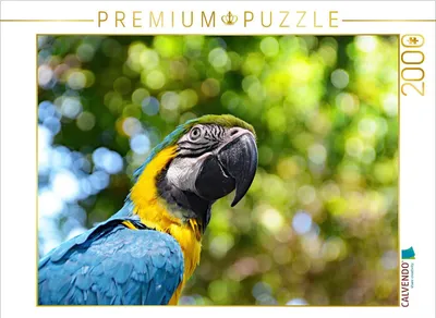 Produktbild von CALVENDO Puzzle Papagei 2000 Teile Puzzle quer | 2000 Teile Lege-Größe 90x67cm Foto-Puzzle für glückliche Stunden