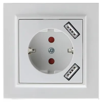 Schuko-Einbausteckdose Typ F mit Doppel-USB, Weiß