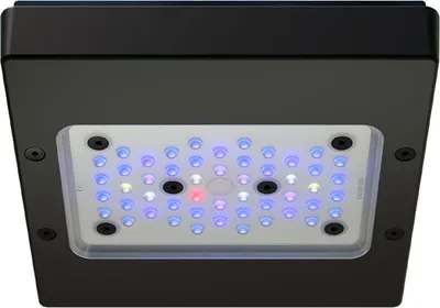 Produktbild von EcoTech Radion XR15 G6 PRO LED Aquariumlampe