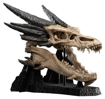 Image de Seigneur des Anneaux Mini Statue Crâne de Smaug 22 cm