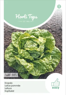 Produktbild von Kopfsalat Fürchtenichts | Kopfsalatsamen von Hortitops